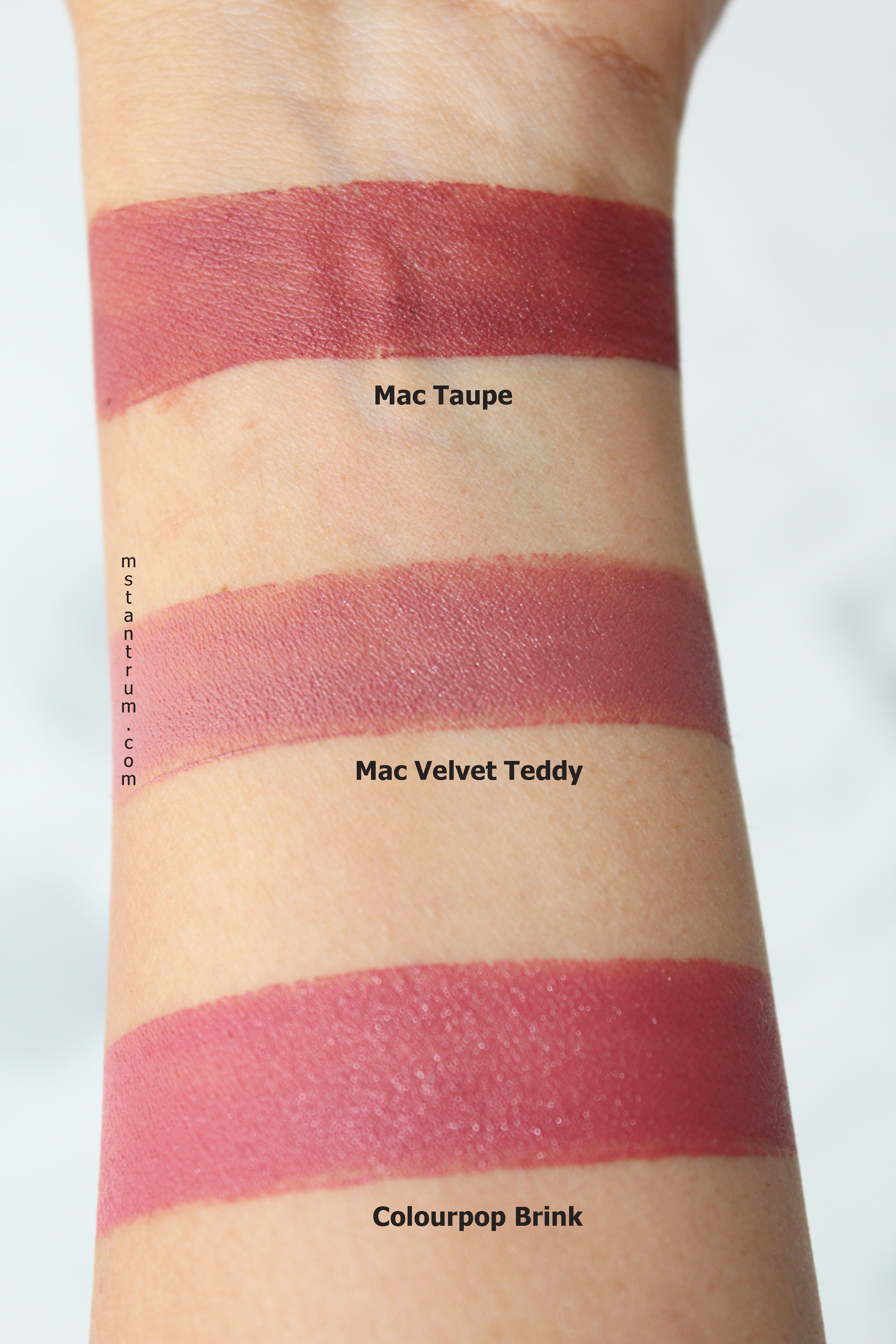Summer to Fall Transition lipsticks swatches