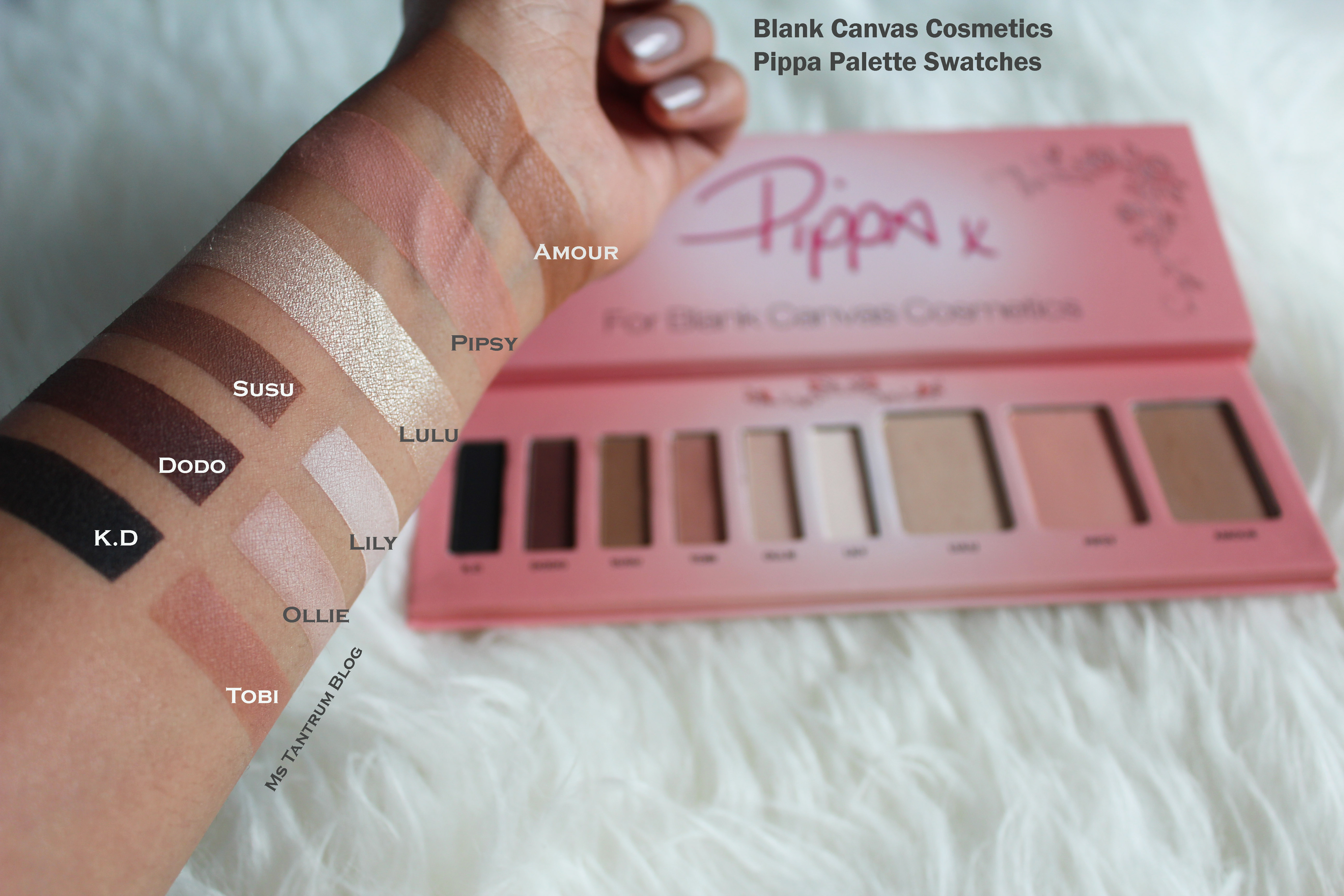 Blank Canvas Cosmetics Pippa Palette review & swatches 